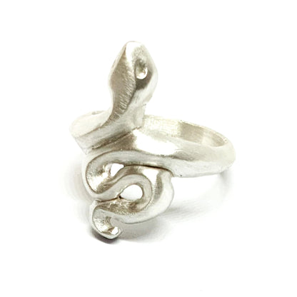 A silver ring featuring a brushed finish, handcrafted in the shape of a snake.