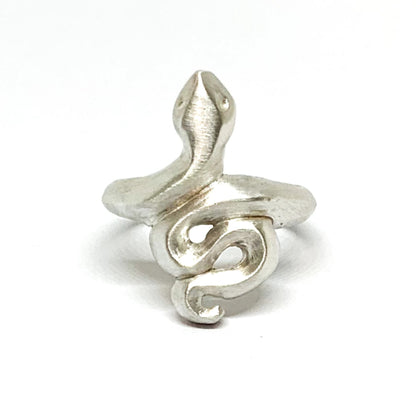 A silver ring featuring a brushed finish, handcrafted in the shape of a snake.