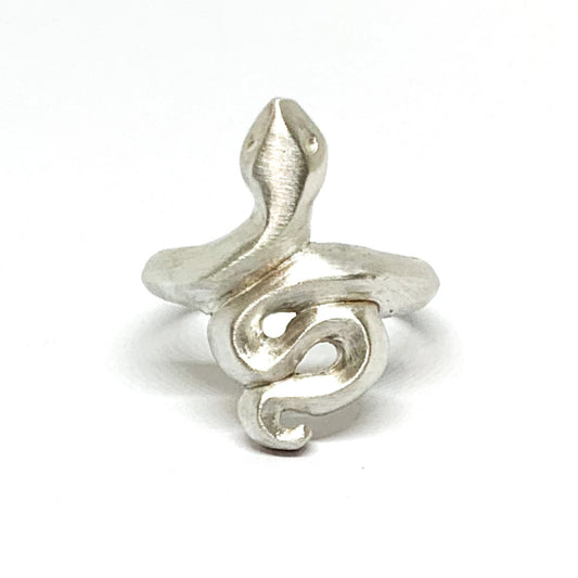 A silver ring featuring a brushed finish, handcrafted in the shape of a snake.