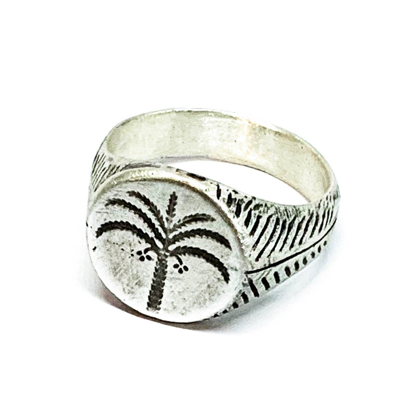 A silver ring with a brushed finish and a palm tree design on the top, signet-style.